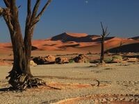 Namibia (2).jpg