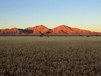 Namibia (9).jpg
