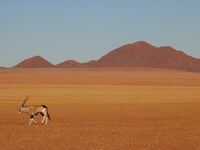 Namibia (23).jpg